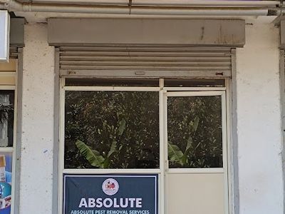 Absolute Pest Removal Services