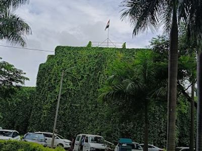 Advocate Rohini Nilesh Patil