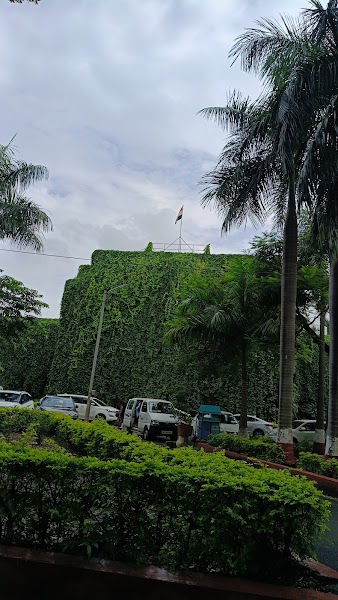 Advocate Rohini Nilesh Patil - Photo 1