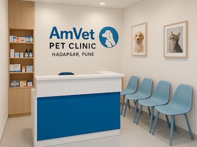 AmVet | Pet Clinic | Doctor | Hadapsar