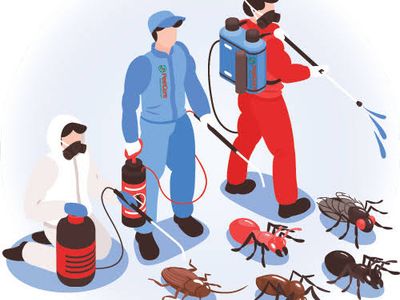 City Care Pest Control