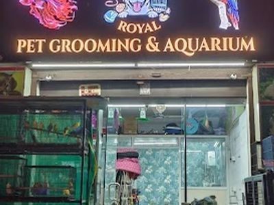 Classy Royal Pet Grooming & Aquarium