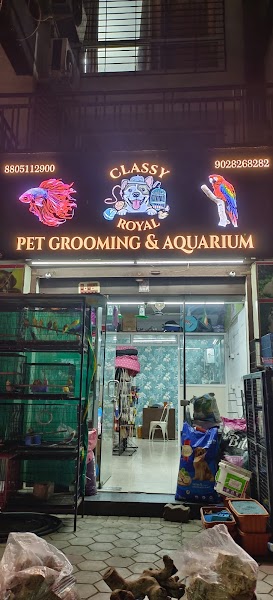Classy Royal Pet Grooming & Aquarium - Photo 1