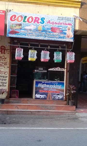 COLORS AQUARIUM - Photo 1