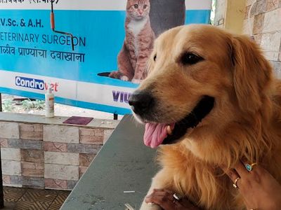 Dr. Vivek Pande's Pet Clinic (Shastri Nagar)