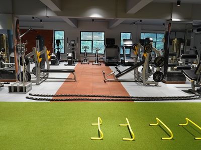 Dumbbell Bee Fitness GYM