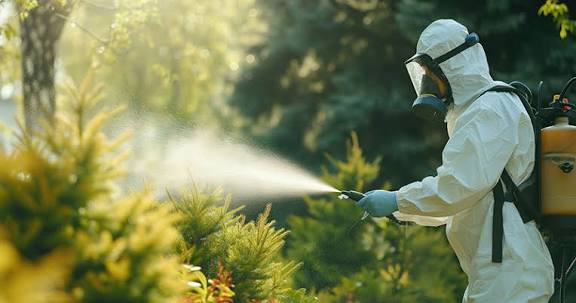 J K Pest Control - Photo 1