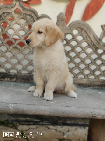 Mamta canal - Photo 1