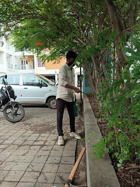 Max pest control - Photo 1