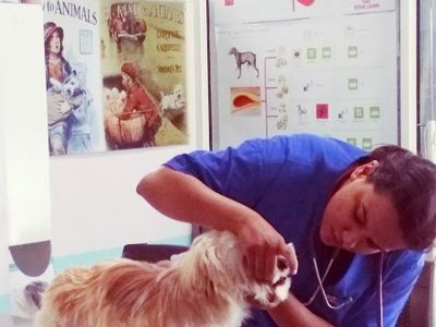 My Pet Care Veterinary Centre