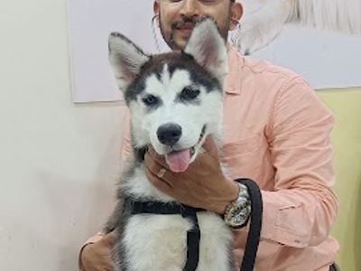 Om Sai Pets Care Clinic