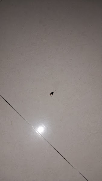 Omkar Pest Control - Photo 1