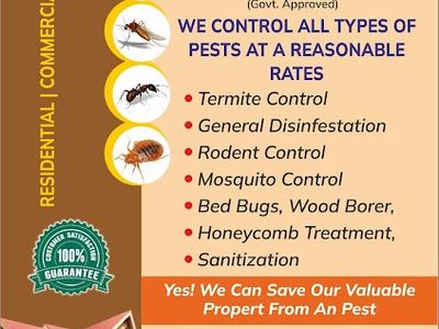 Pestoread Pest Management Services