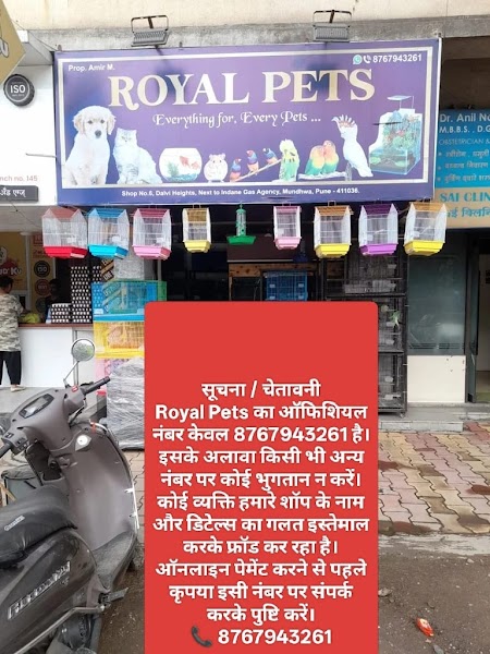 Royal Pets - Photo 1