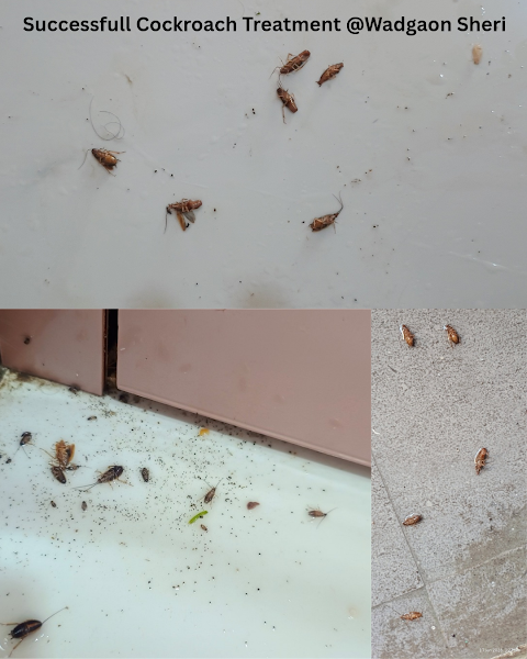 Sainet Facilities - Photo 1