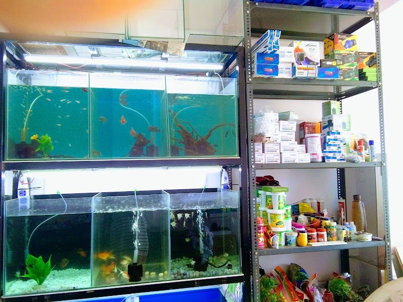 Sakshi aquarium - Photo 1