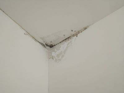 Samarth Plumbing and Waterproofing