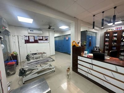 Small Paws Vet Clinic
