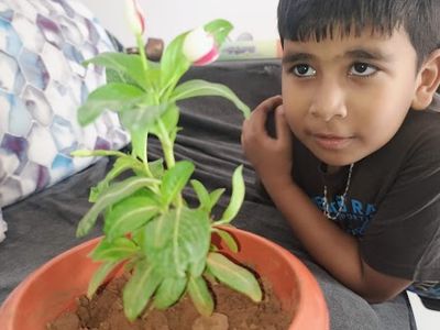 Smile & Giggles Daycare