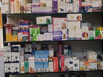 Sniffy Nose Pet Clinic