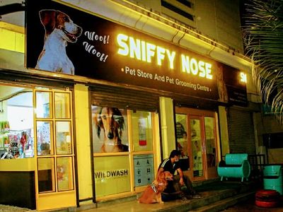 Sniffy Nose Pet Store | Pet Grooming | Pet Clinic | Pet Taxi - Hadapsar
