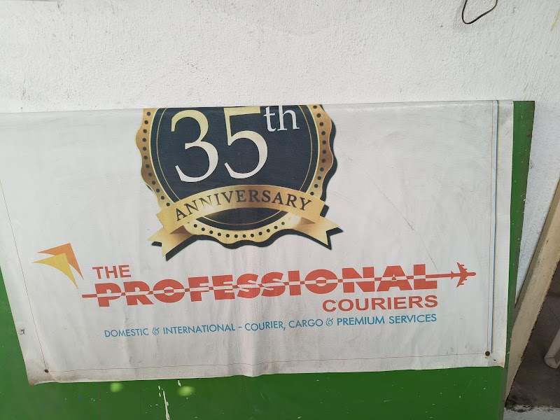 The Professional Couriers | Domestic & International Courier Services in Mundhwa - Photo 1